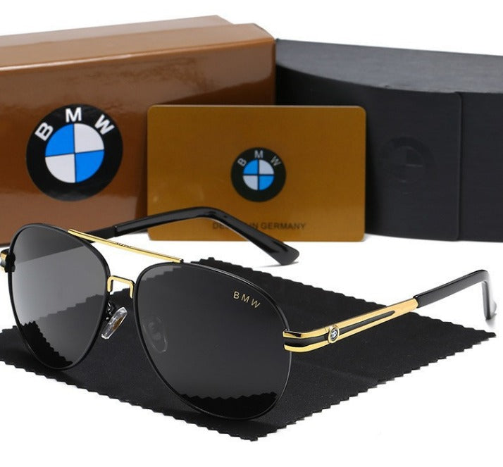 Elegio BMW Aviator Glasses 